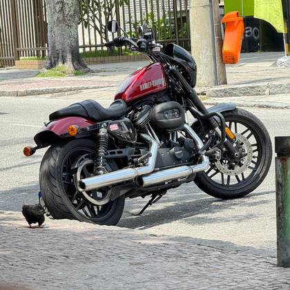 HARLEY-DAVIDSON SPORTSTER ROADSTER HARLEY-DAVIDSON SPORTSTER ROADSTER
